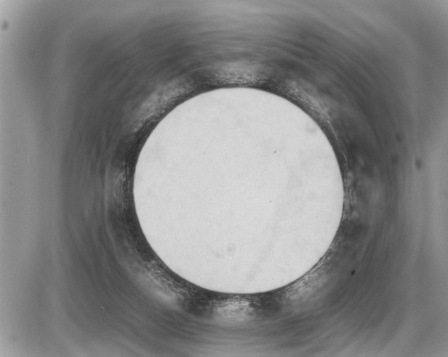 X0000087400162200704201316