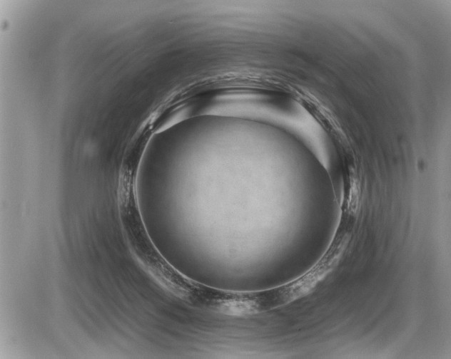X0000087400168200704201316