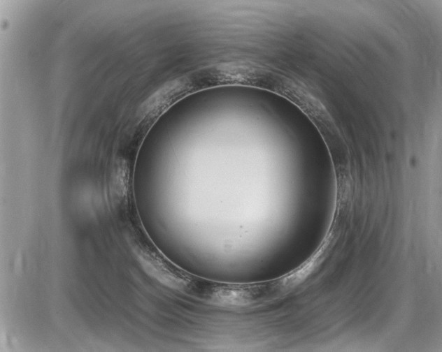 X0000087400174200704201316