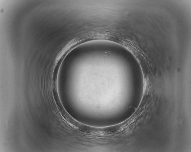 X0000087400195200704201316