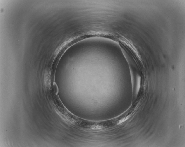 X0000087400204200704201316