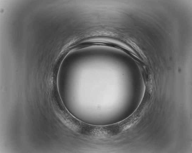 X0000087400207200704201316