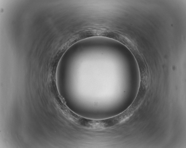 X0000087400221200704201315