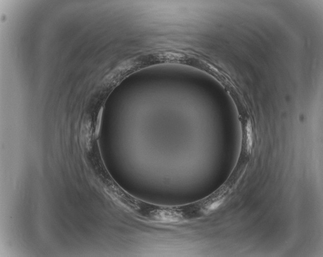 X0000087400223200704201315