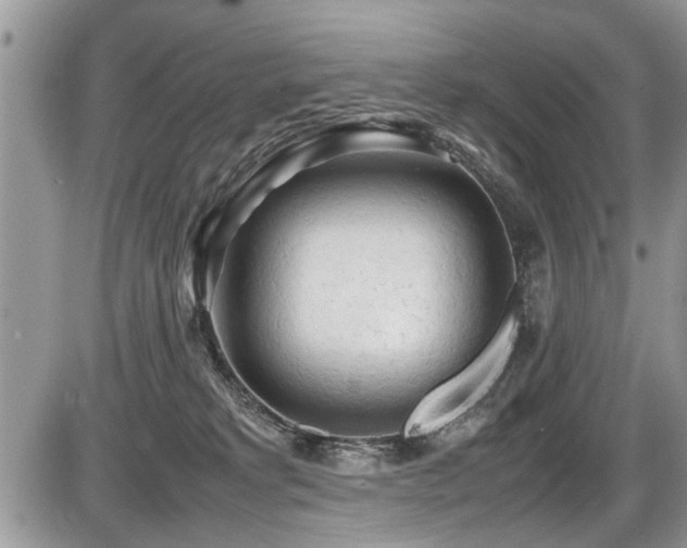 X0000087400229200704201315