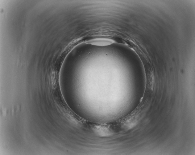 X0000087400232200704201315