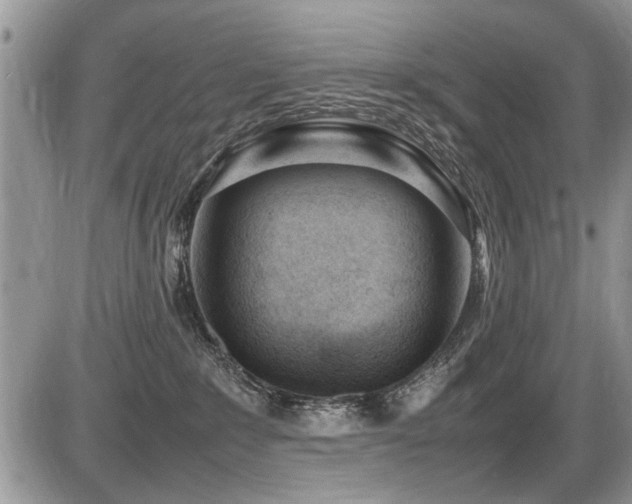 X0000087400235200704201315