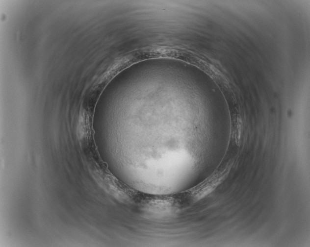 X0000087400236200704201315