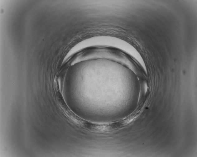 X0000087400237200704201315