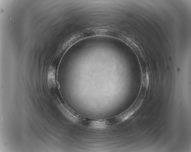 X0000087400238200704201315