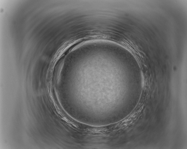 X0000087400241200704201314