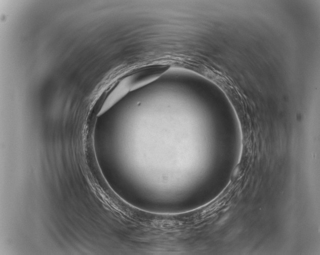 X0000087400242200704201314