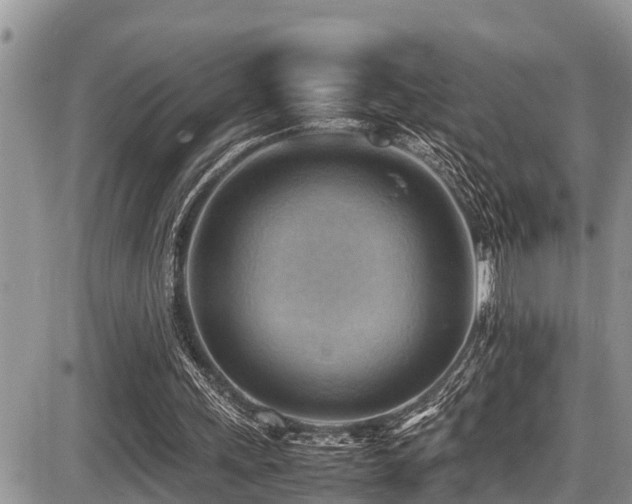 X0000087400243200704201314