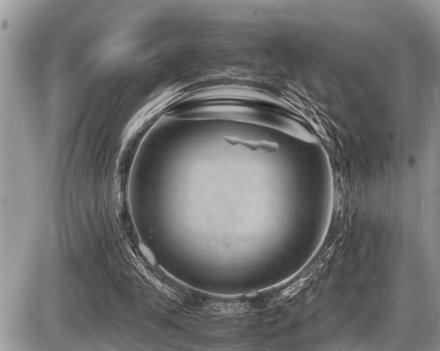 X0000087400245200704201314