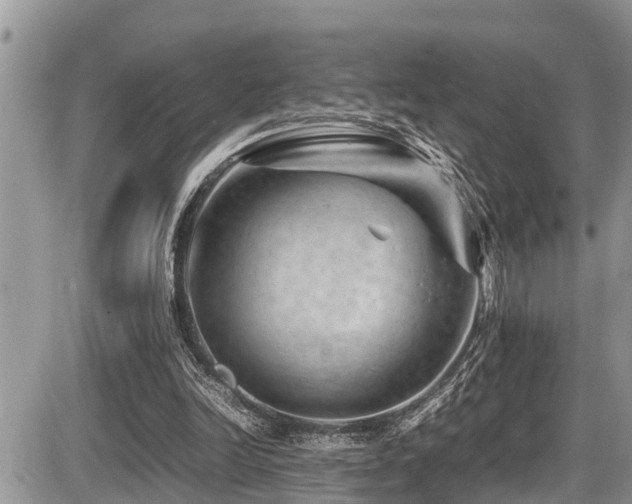 X0000087400246200704201314