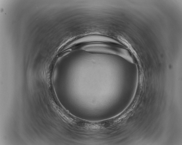 X0000087400249200704201314