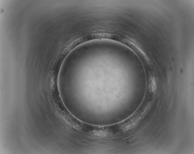 X0000087400259200704201315