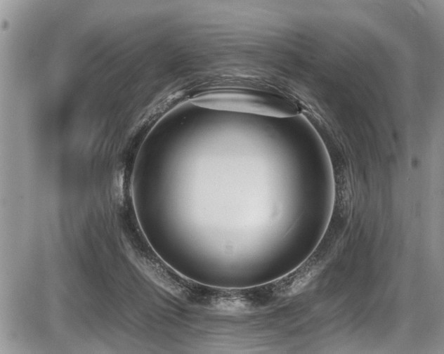 X0000087400262200704201315
