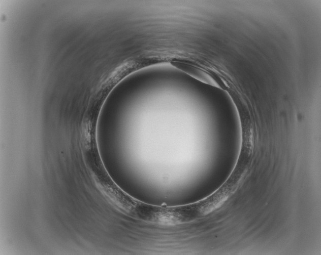 X0000087400264200704201315