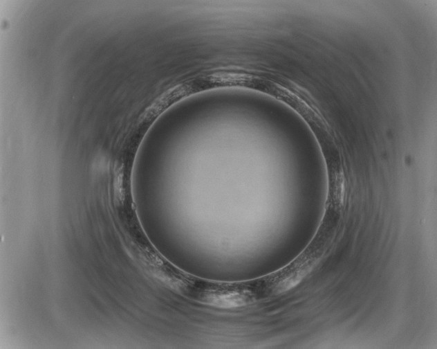 X0000087400267200704201315
