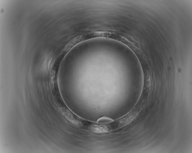 X0000087400275200704201315