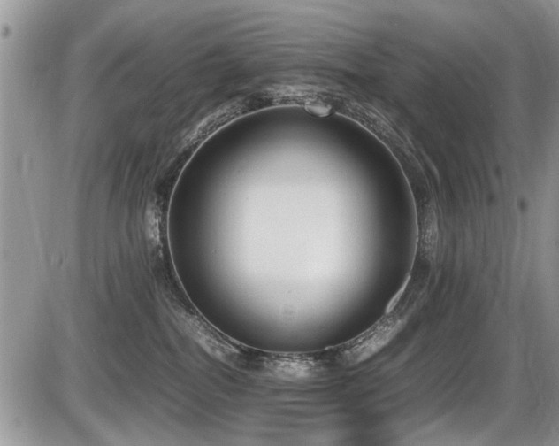 X0000087400282200704201315