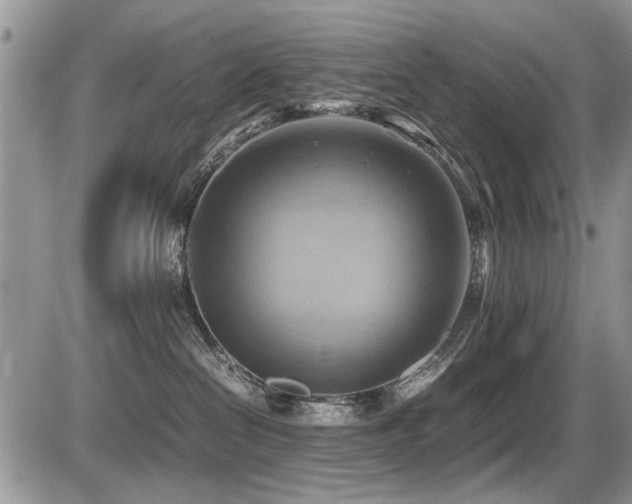 X0000087400286200704201315