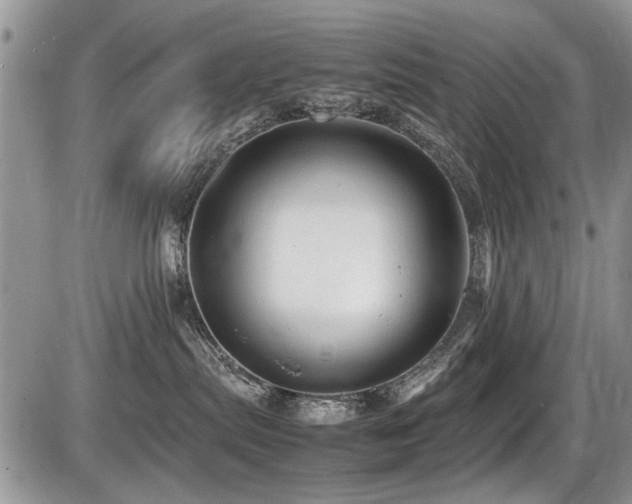 X0000087400287200704201315