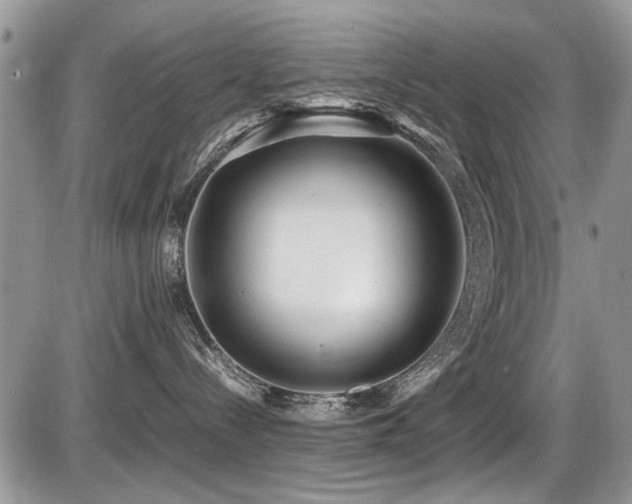 X0000087400288200704201315