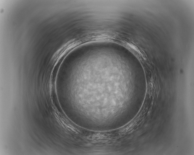 X0000087400290200704201314