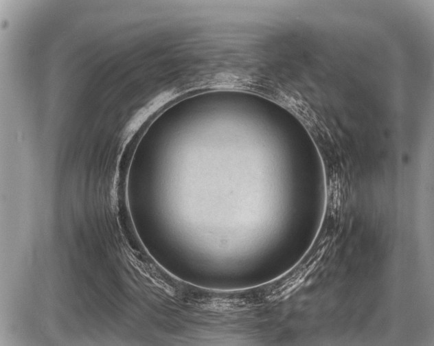 X0000087400292200704201314