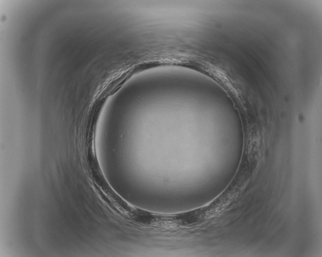 X0000087400299200704201314