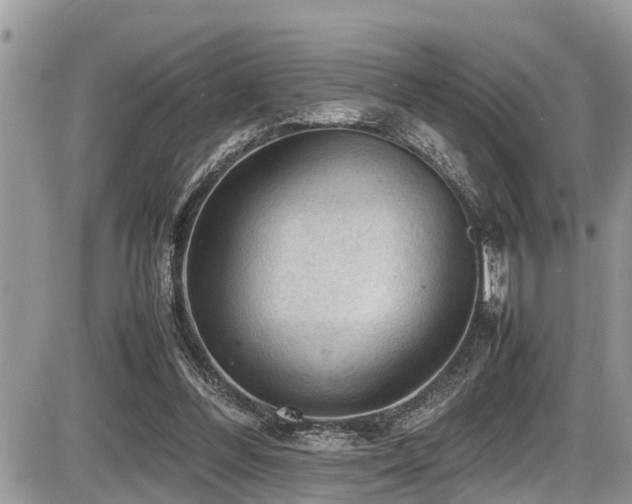 X0000087400300200704201314