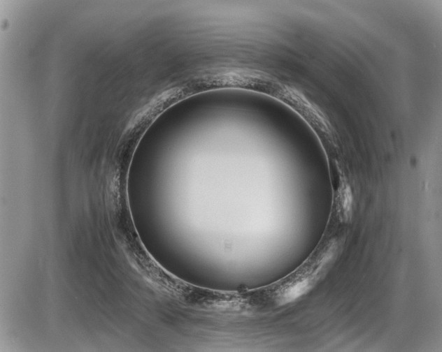 X0000087400306200704201314