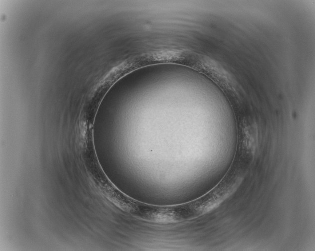 X0000087400308200704201314