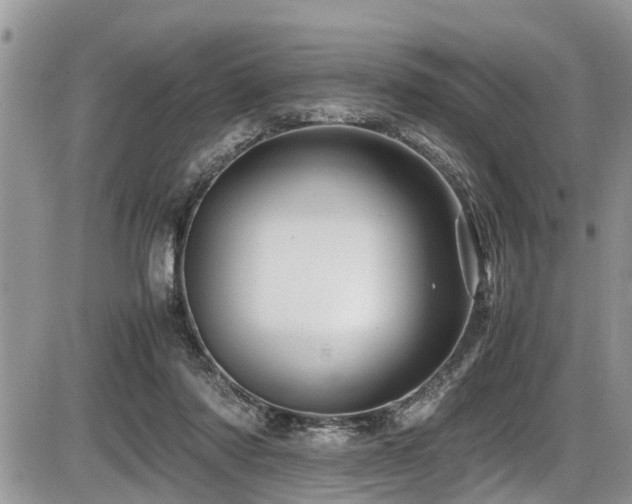 X0000087400310200704201314