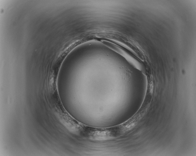 X0000087400314200704201314
