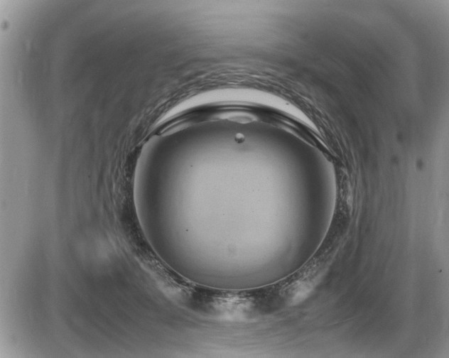 X0000087400319200704201314