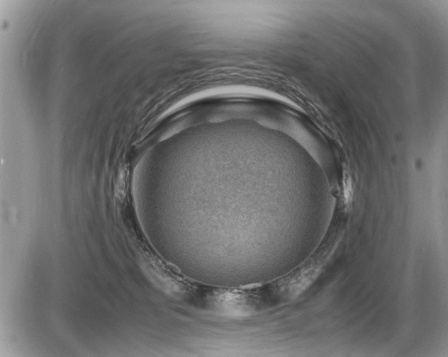 X0000087400325200704201314