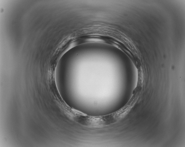 X0000087400333200704201314