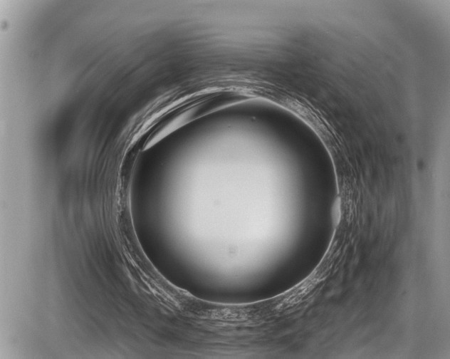 X0000087400338200704201313