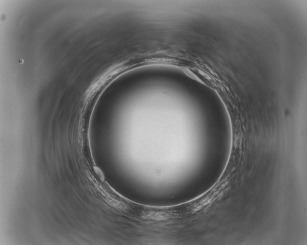 X0000087400341200704201313