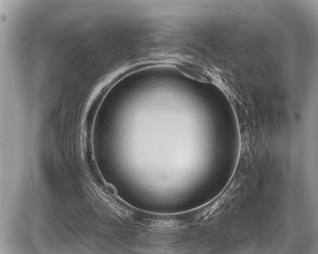 X0000087400342200704201313