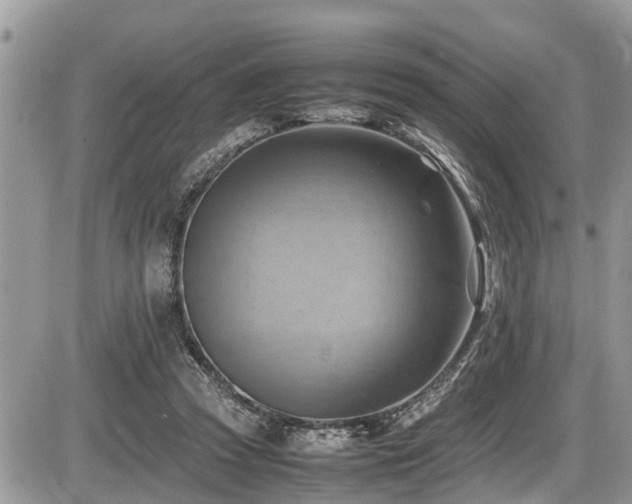 X0000087400353200704201313