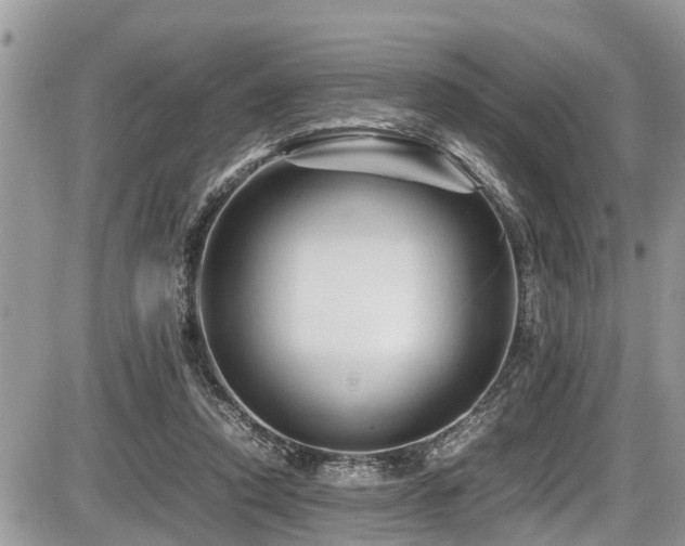 X0000087400354200704201313