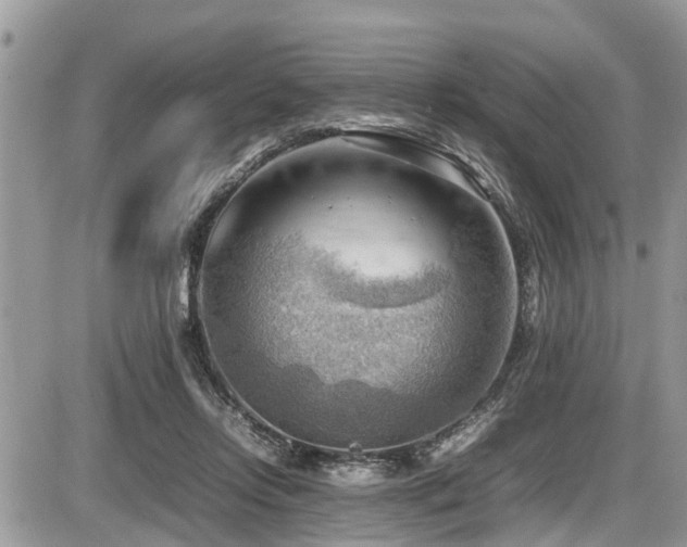 X0000087400358200704201313