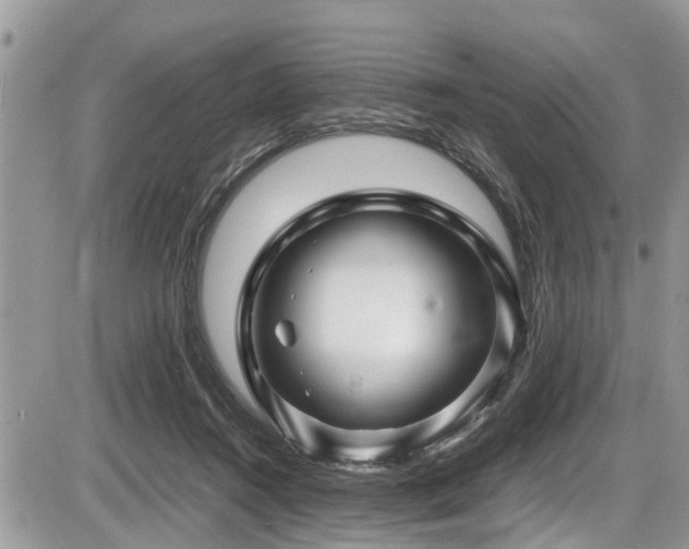 X0000087400360200704201313