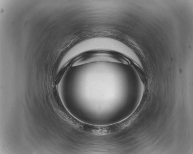 X0000087400362200704201313