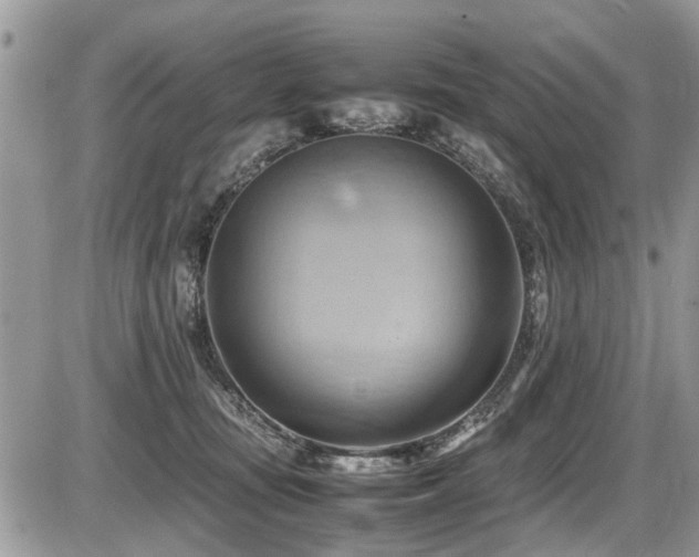 X0000087400371200704201313