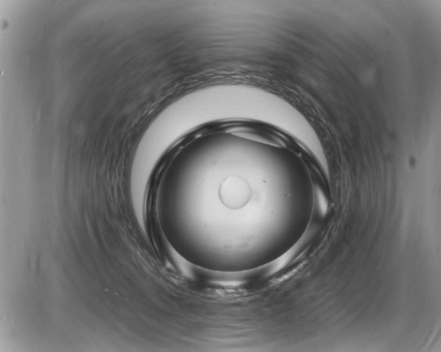 X0000087400372200704201313